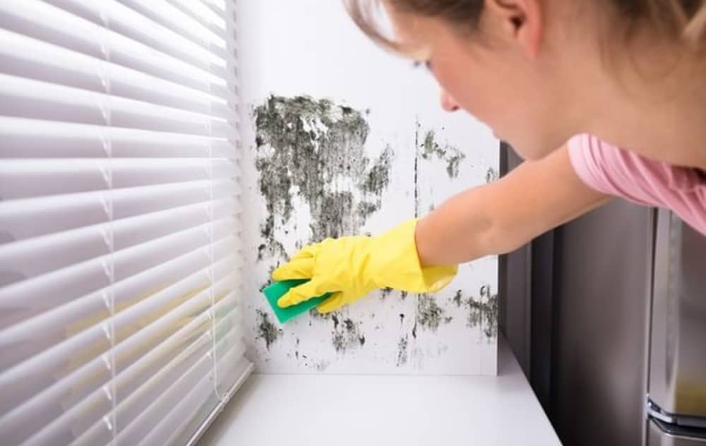 A woman goes to get rid of mold